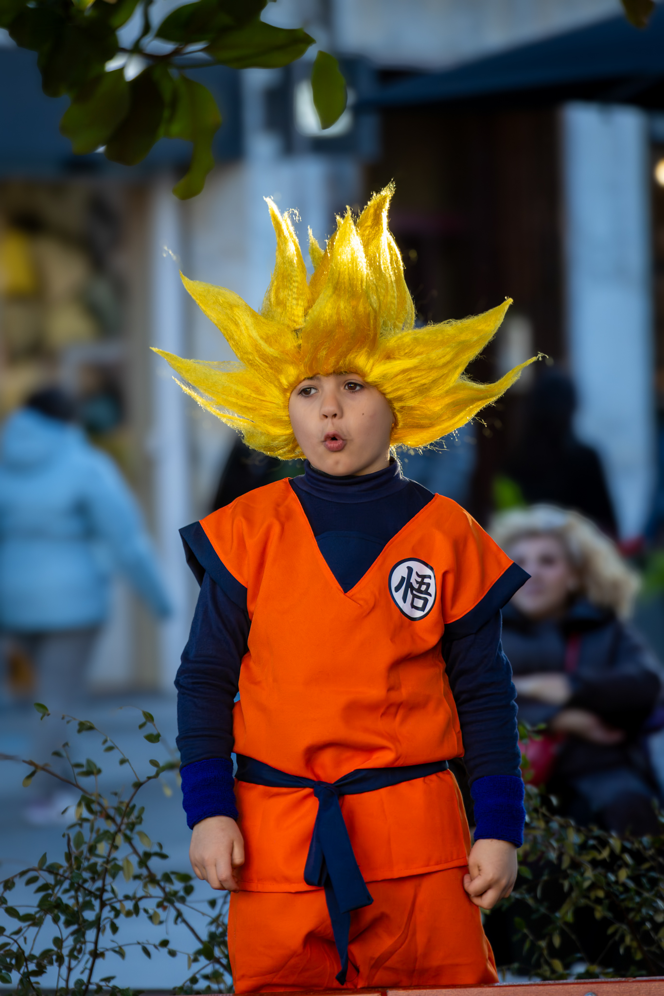 Rua de Carnaval – Cerdanyola 2026