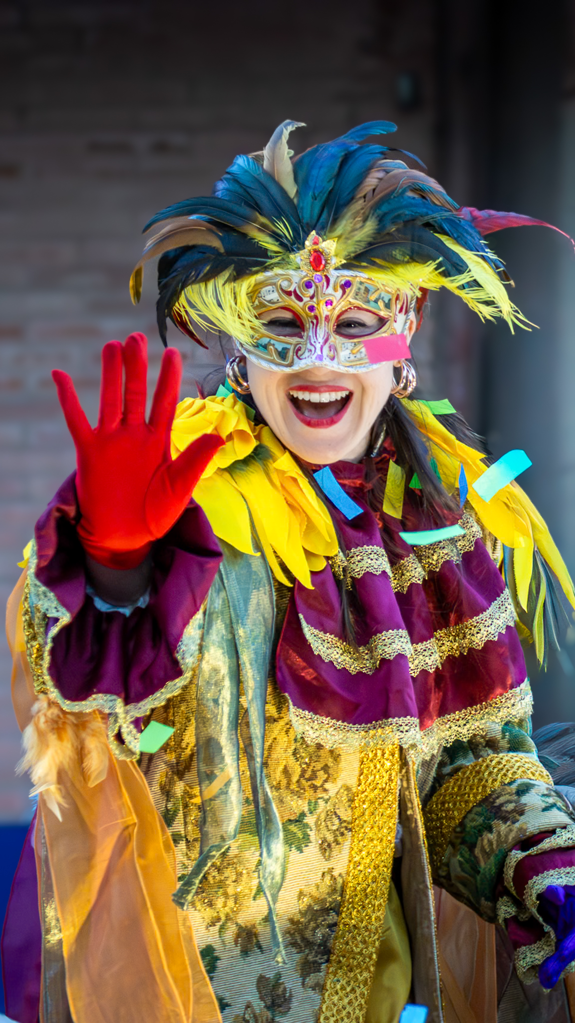 Rua de Carnaval – Cerdanyola 2026