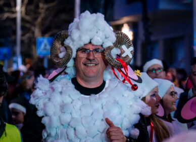 Rua de Carnaval – Cerdanyola 2026