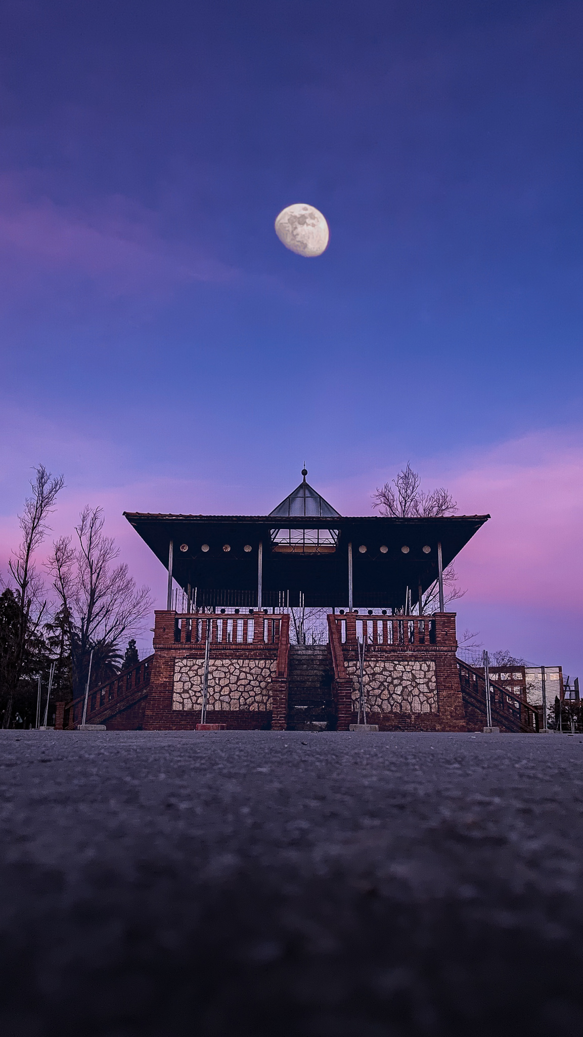 Luna bajo el cielo violeta