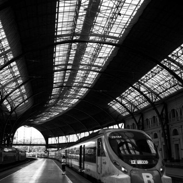AOCR7_IMG_4189 (2)