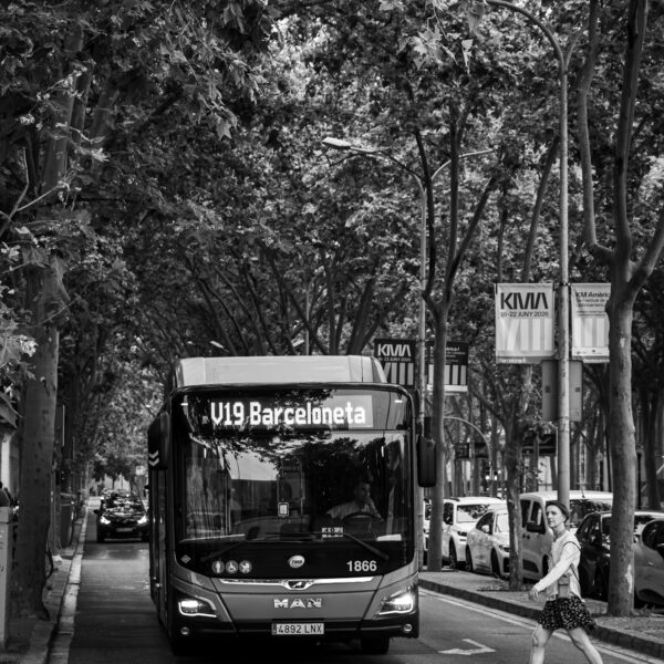 AOCR7_IMG_4428 (1)