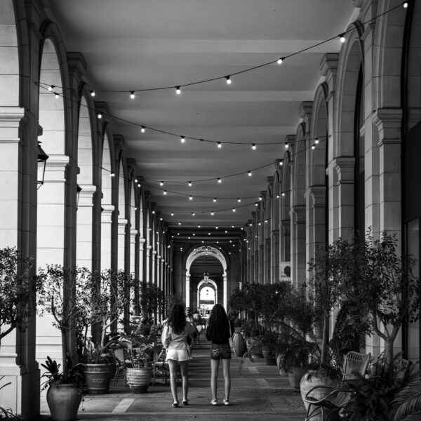 AOCR7_IMG_4438 (2)