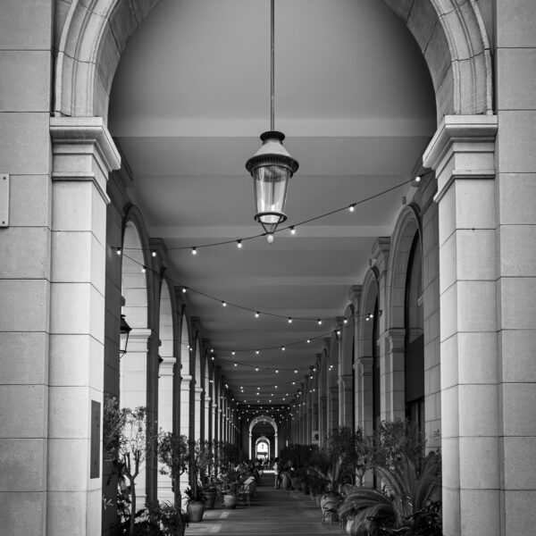 AOCR7_IMG_4439 (1)