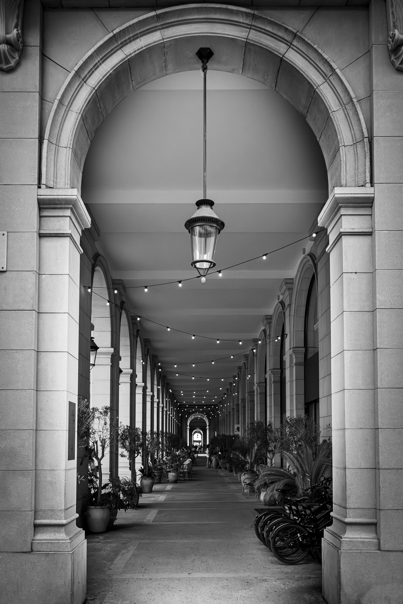 Geometrías de luz, sombras y silencios