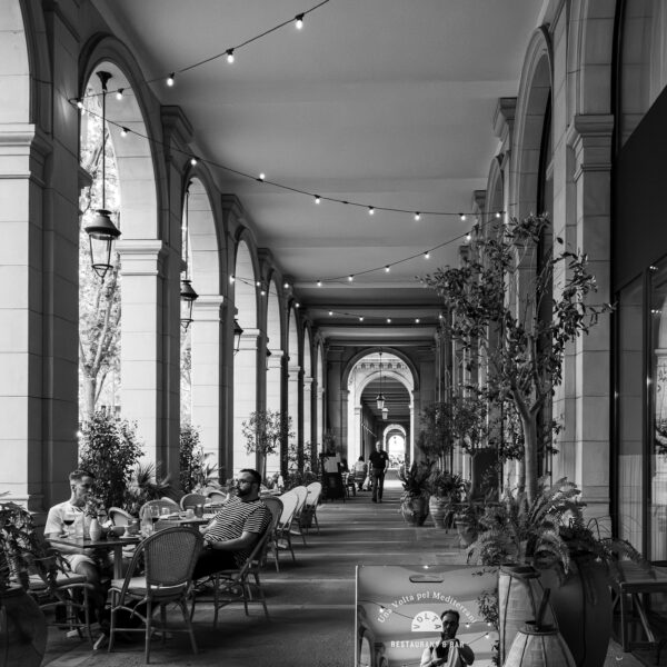 AOCR7_IMG_4445 (2)