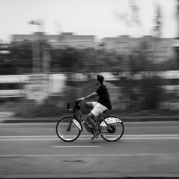AOCR7_IMG_4660 (2)