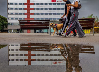 Vidas reflejadas