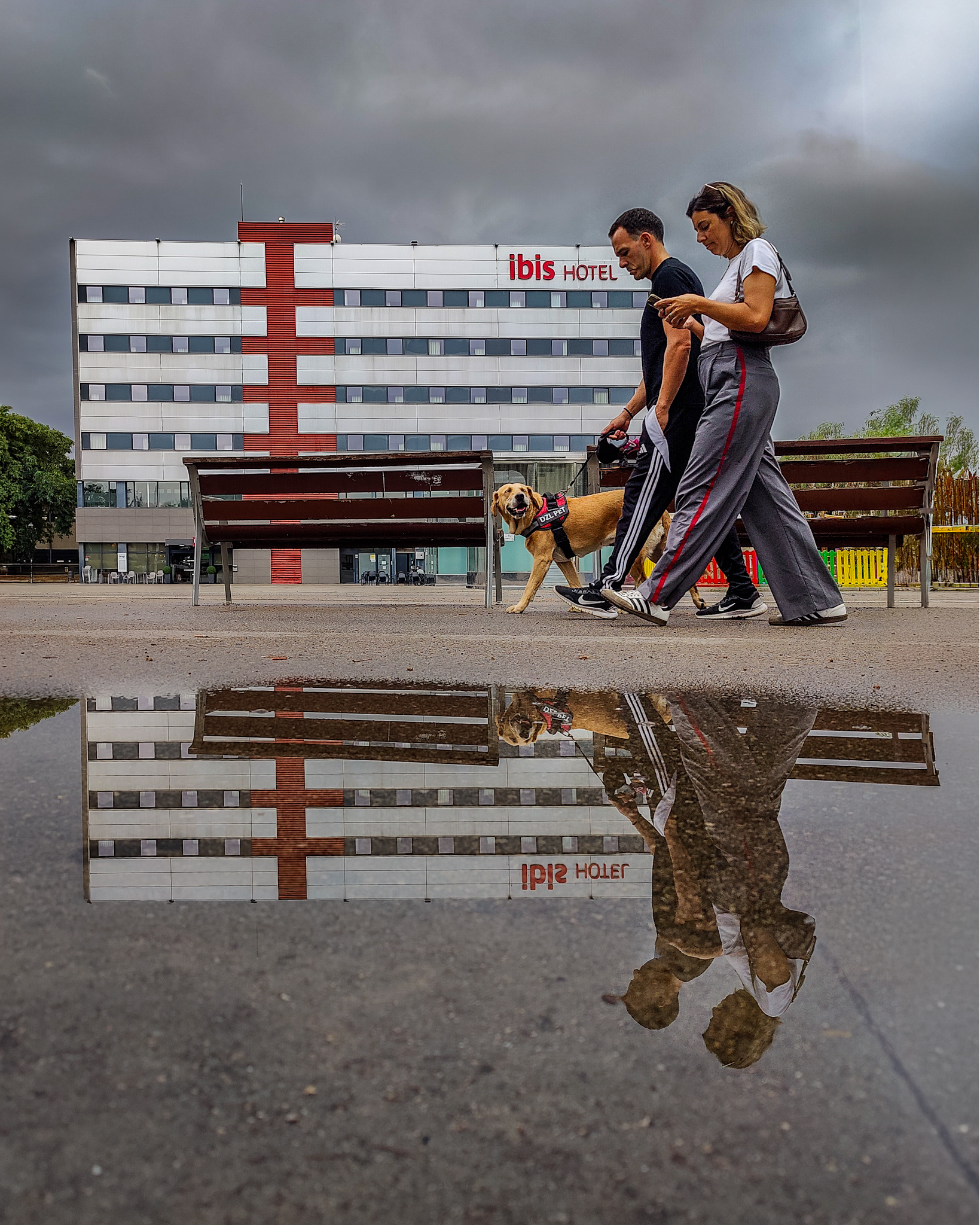 Vidas reflejadas